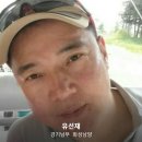 유선재