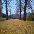 소백산마을농촌체험휴양마을 네이버블로그