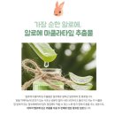 쇼블리 네이버블로그