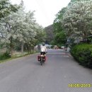 합천창녕보자전거민박 이미지