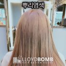 장유 뿌염 로이드밤에서 받은 후기 사진있어요