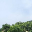 도안원탑공인중개사사무소 네이버블로그