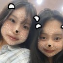 다인야영장 이미지