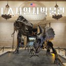 한국자연사박물관 | 공룡 러버의 LA 자연사박물관 방문 후기 및 입장료 주차 기념품