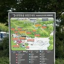 시청사거리 타이어월드 앞 | 함께 가기 좋은 여름 실내 휴가지 [광명동굴] 주말 오후 방문 입장료, Tip, 주차, 솔직한 후기 : 광명동굴