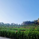 분당-199 | 분당수목장 신중 가족들 의논 뒤 결정했습니다