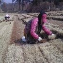 정신농장 이미지