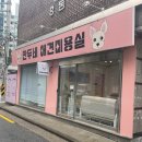 만두네 애견미용실 네이버블로그