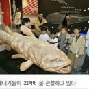 (주)노멀커머스 | YLC 49기 지원기 (YLC란?, 자기소개서 &amp; 면접)