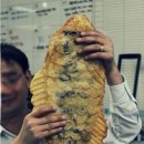 붕어빵 - 화성시 동탄솔빛로 54 | 붕어빵