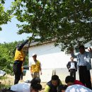 명지리앵두마을 이미지