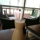 막걸리싸롱