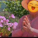 화성노인요양원 | 처음 방문해보고 선택한 노인요양원비용 후기예요