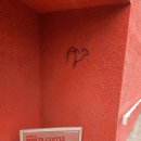 정승호 | 대구 수성구 범어동 카페 대구 낙타커피 내돈내산 솔직후기