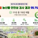 쌈이랑 뉴시스