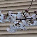 새벽노을 이미지