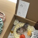 21그램 반려동물 장례식장 천안아산점 이미지