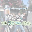 김군 524게스트하우스 | 제주도 1인 2인 소규모 감성 게스트하우스 추천 8
