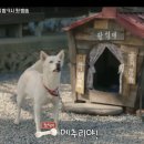 이가도매