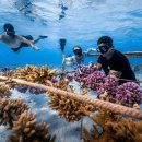 WORLD TRADING LTD 이미지