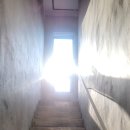 살구 스테이 이미지