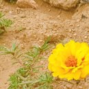 플라츠907(Platz907) 이미지