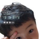 홀섬 민박 이미지