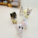 댕구르르 유치원 이미지