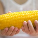 모단농장 이미지