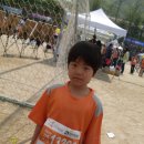 화성효가족마라톤_20110505_수원대학교 이미지