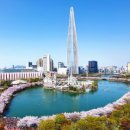 2025년 섬 수선화축제 이미지