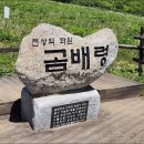 얼레지펜션 | 곰배령 야생화 트레킹(위치, 주차, 예약, 날씨, 등산코스, 펜션)