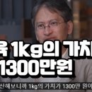 근육다짐 이미지