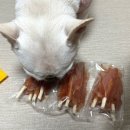 하나소프트 | [푸디펫] 쫄깃쫄깃~ 노령견도 잘 먹는 기호성 최고 ‘소프트 치킨껌’