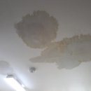 첨단서라아파트 이미지