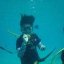 수중산책 | 괌 오션워커 패키지로 즐기는 수중 산책 🌊 스노클링 그 이상의 괌 액티비티 완벽 가이드