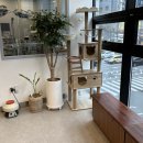 사랑가득 동물병원 이미지