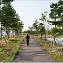 문암2리해변 이미지