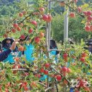 김경식농장 이미지