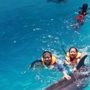 마린파크 이미지