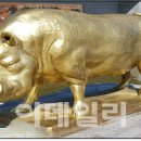 황금돼지 이미지
