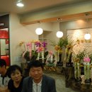 현대치과 Daum카페