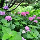 벌막공원 이미지