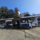 통영회종합수산 | 제주올레시장맛집 88종합수산 벵에돔 회포장 후기 (올레시장회 추천)