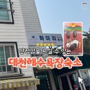 대천릴렉스펜션 | 대천해수욕장숙소 해루질 하러 가기 좋은 하이리펜션 보령단체펜션