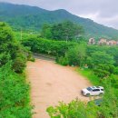 팔조령목장 | 청도 카페 로카커피 감성 가득한 폭포뷰에서 수국과 계곡 즐기기