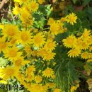 유도열농장 이미지