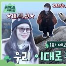 220204 tvn 산꾼도시여자들 EP.1 티저 이미지