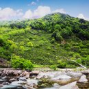 가족과 함께하는 문화체험(5월) 이미지