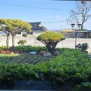 초록정원 이미지